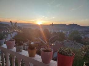 Apartman Adin